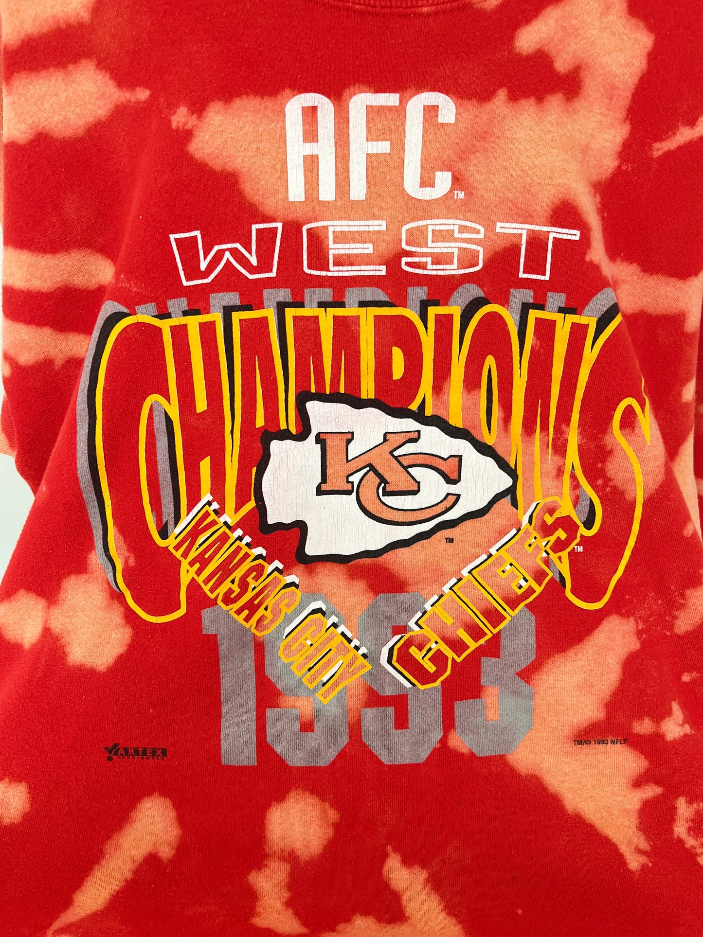 1993 AFC CHAMPS